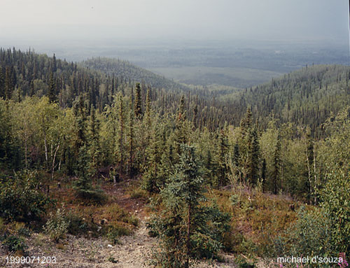 Tintina Trench, Yukon