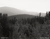 Klondike Mountains, Yukon