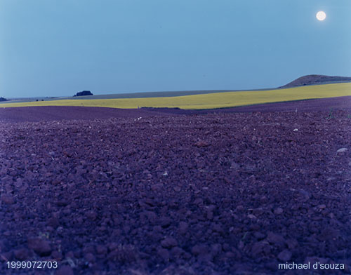 Canola Moon, Alberta