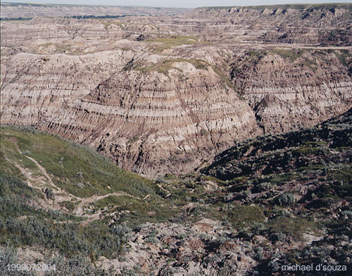 Horse Thief Canyon, Alberta