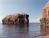 Burnt Rock with Cormorants, New Brunswick