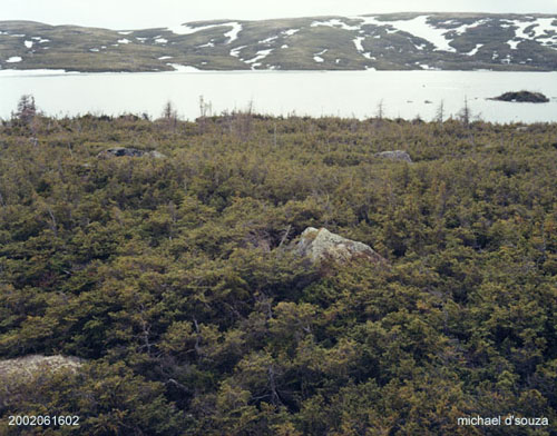 Near Red Bay, Labrador