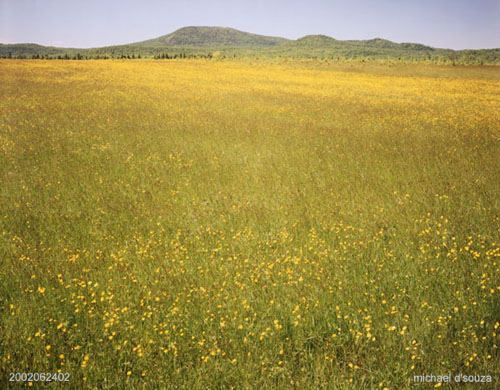 Near East River, Eastern Townships, Quebec