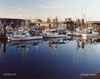 Port McNeil Harbour II, British Columbia