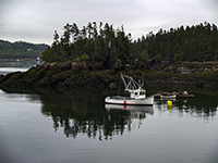 Blacks Harbour