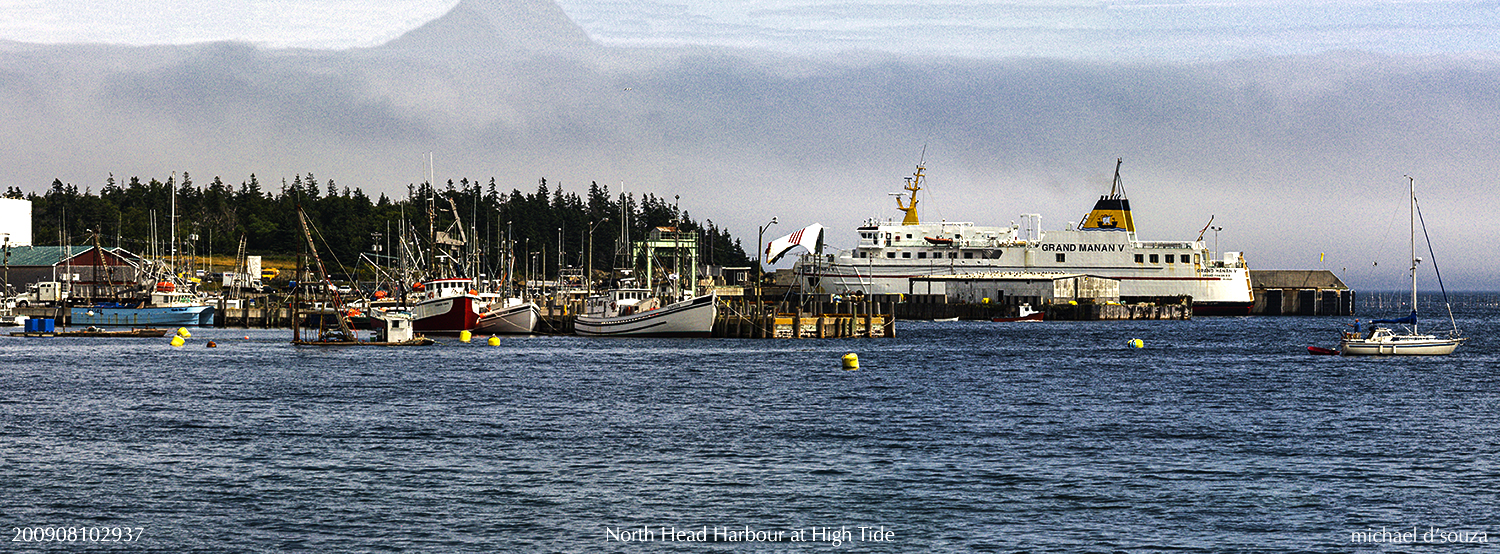 North Head Harbour at High Tide