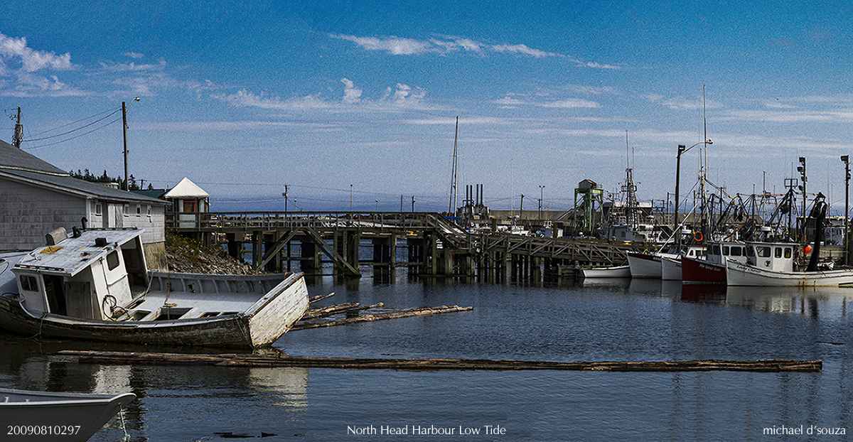 North Head Harbour at Low Tide