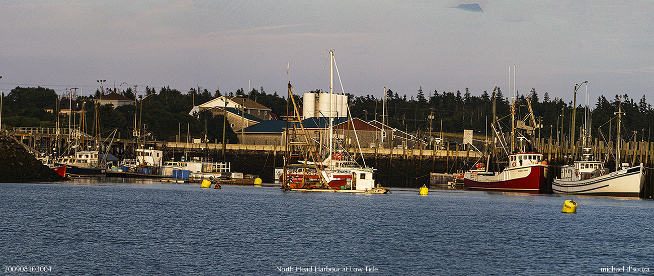 North Head Harbour at Low Tide