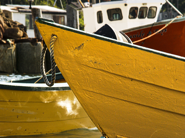 Dark Harbour Boats