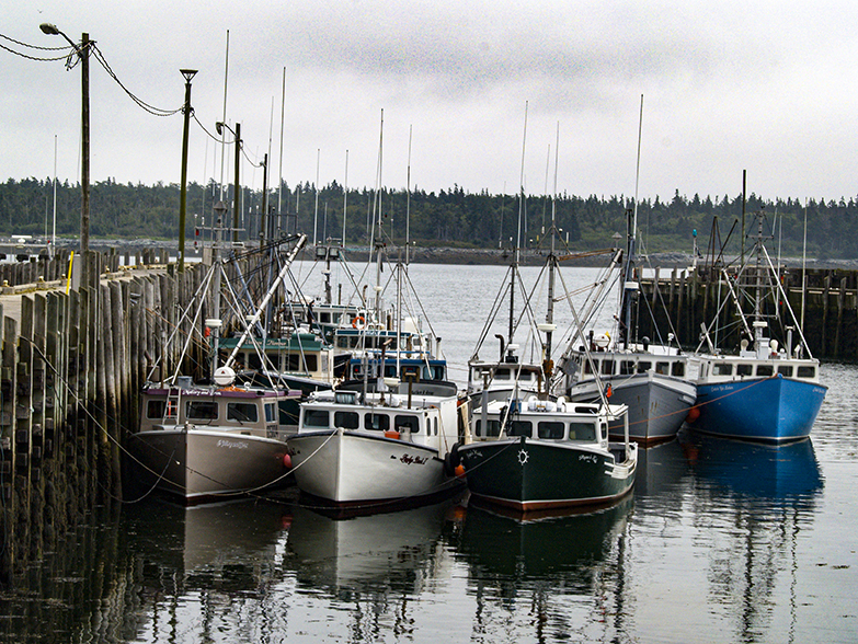 Ignalls Headat low tide