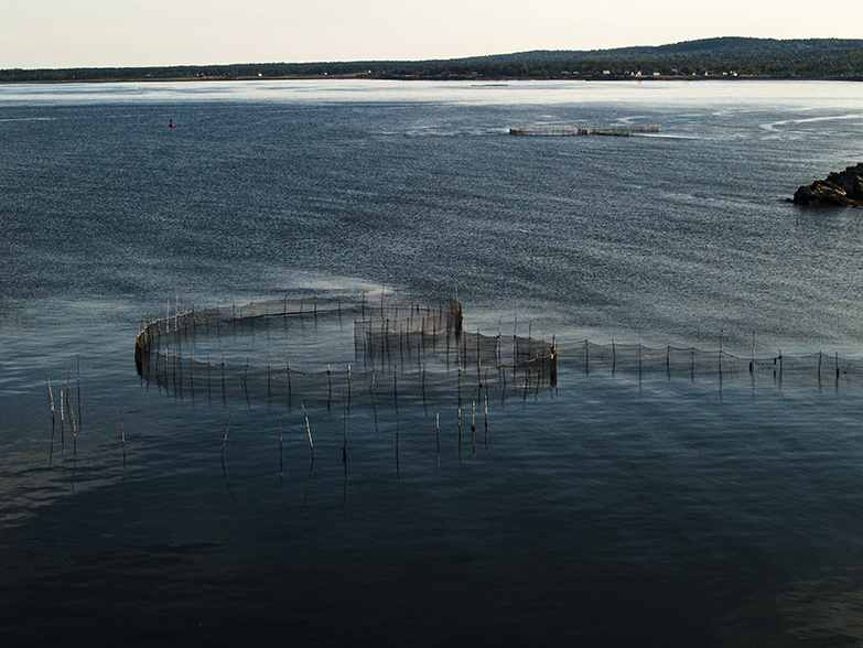 Swalllow Tail Weir