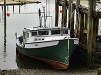 Ignalls Head at low tide