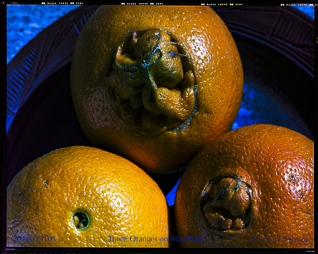 Three Navel Oranges on Blue Plate