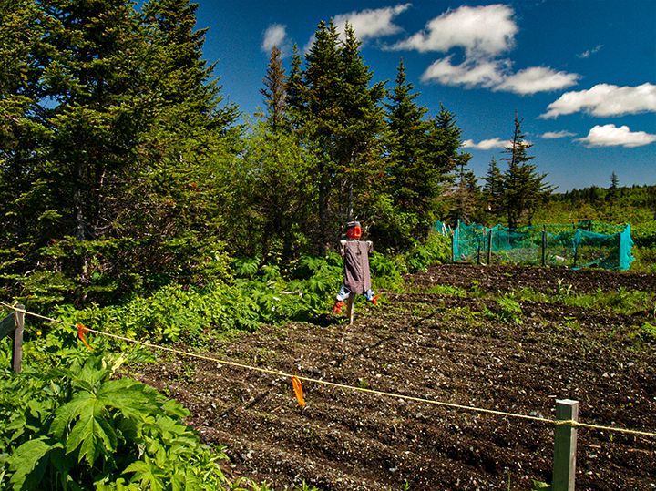 Goose Cove Garden