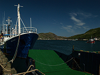 St. John's Harbour