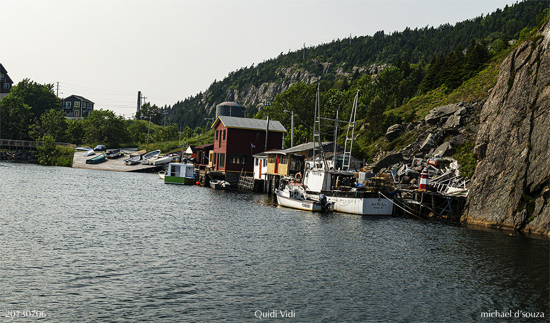 Quidi Vidi