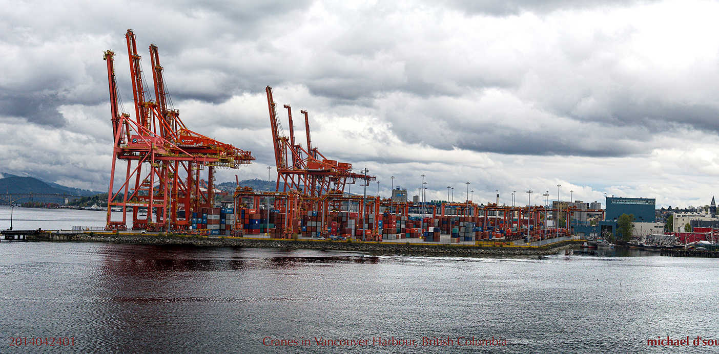 Dance of cranes in the harbour