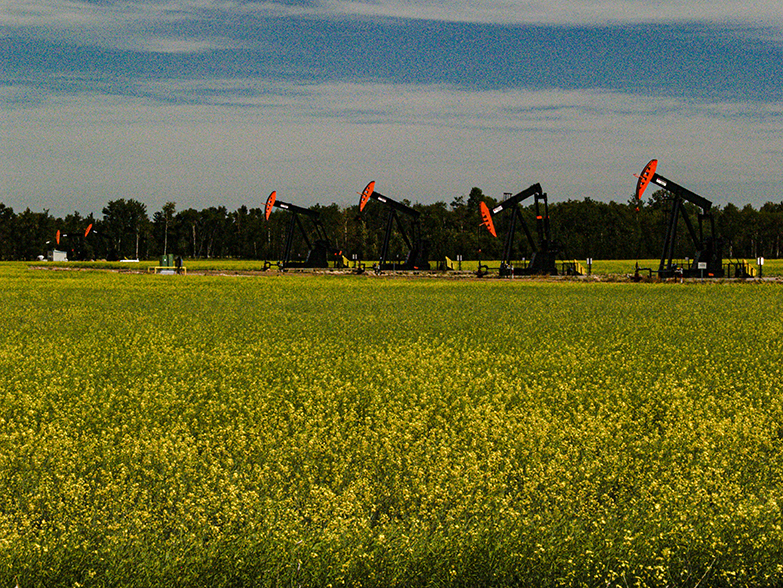 Four oil wells plus two in Canola Field