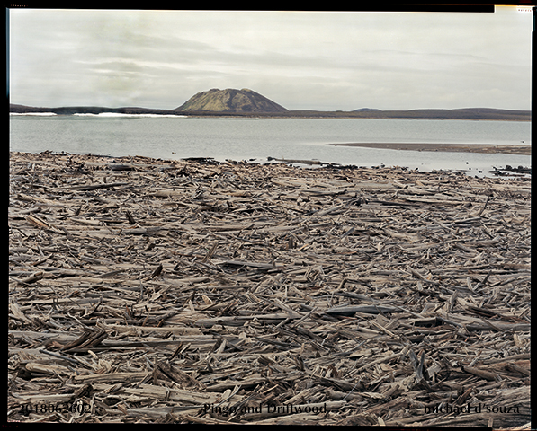 Pingo and Driftwood