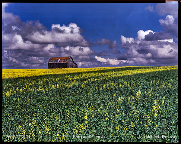 Barn and Canola