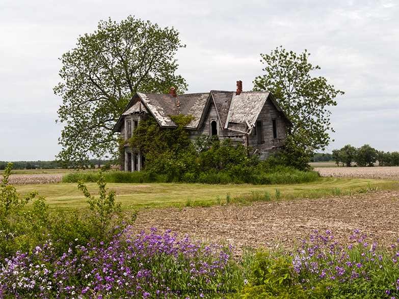 Overgrown Farm House