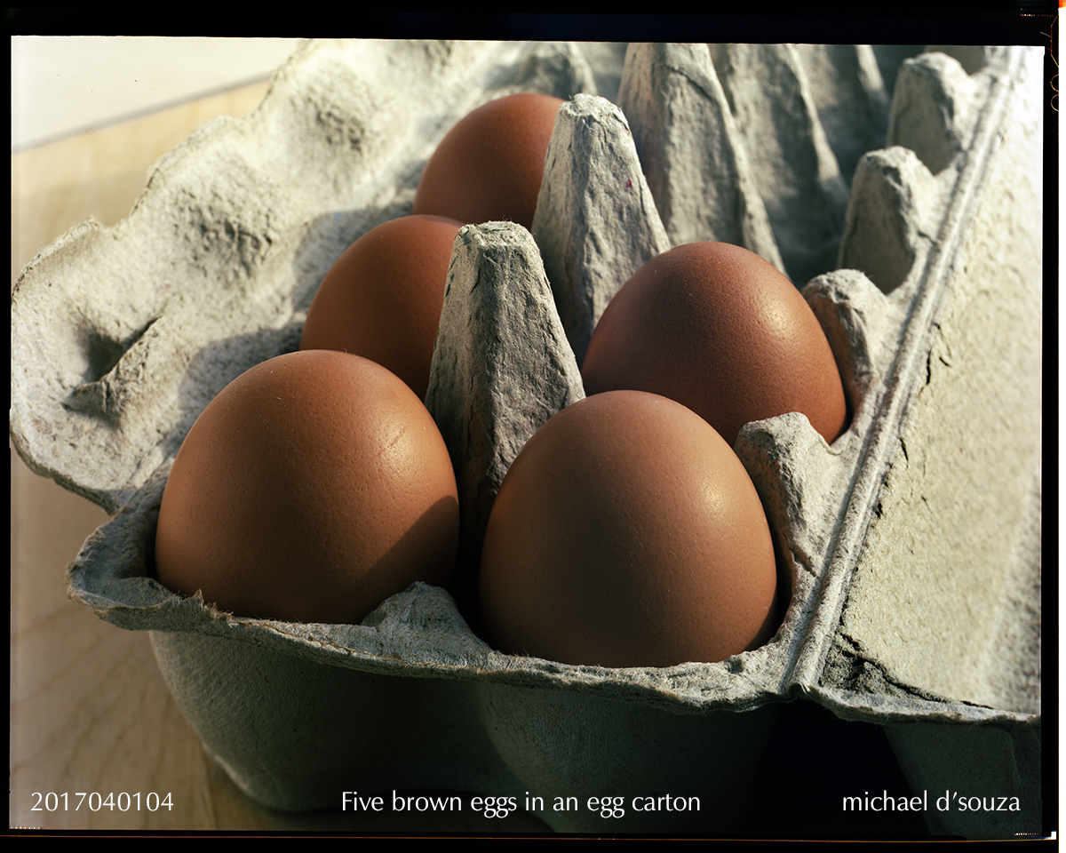 Five Brown Eggs in an egg carton