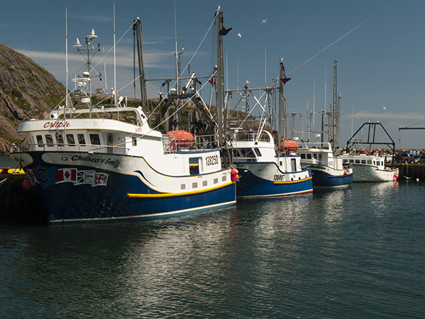 The fish harbour