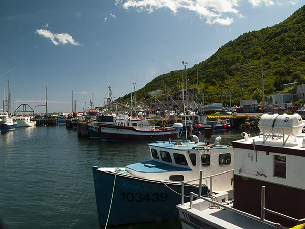 The fish harbour