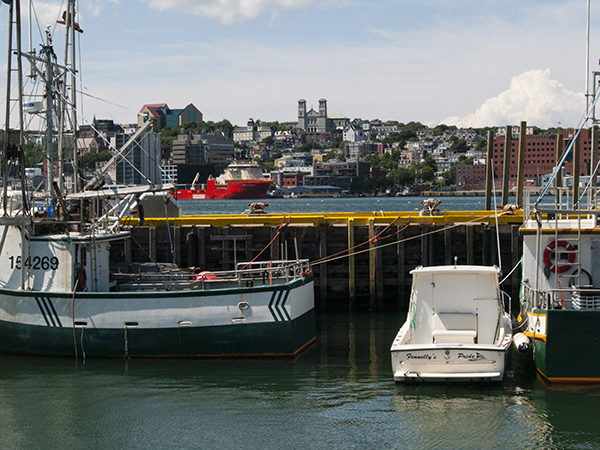 The fish harbour