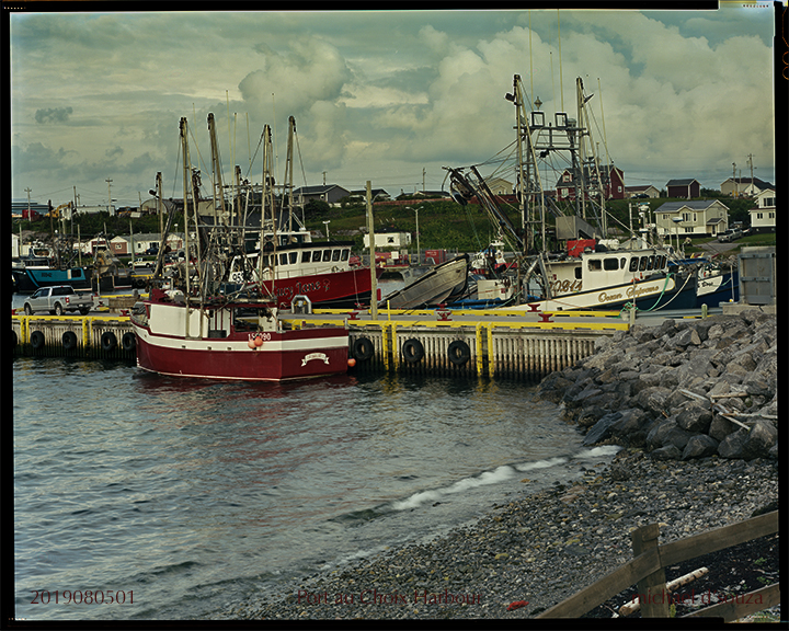 Port au Choix Harbour