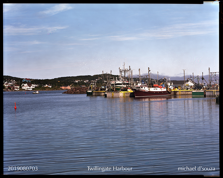 Twillingate Harbour